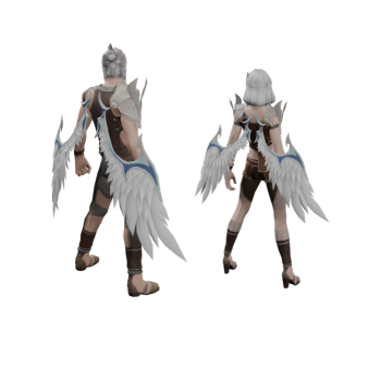 Flying Warrior's Wings