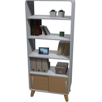 Sophisticated Bookcase